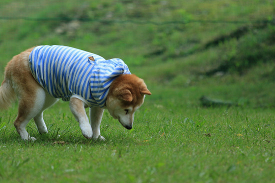 11resize0449.jpg