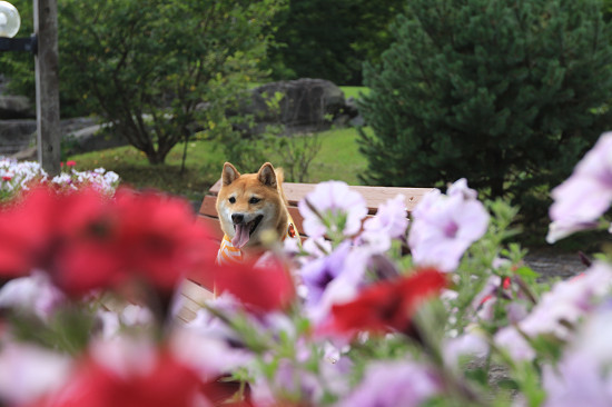 11resize0479.jpg