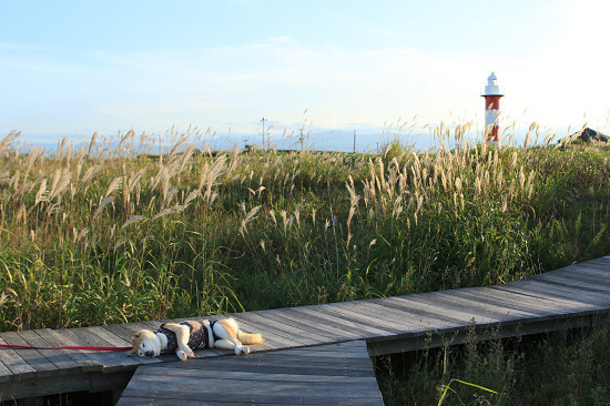 11resize0525.jpg