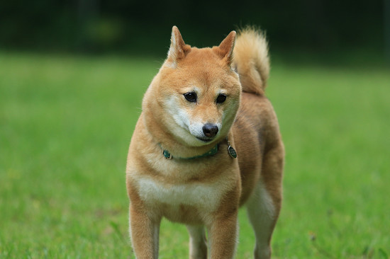 12resize0451.jpg