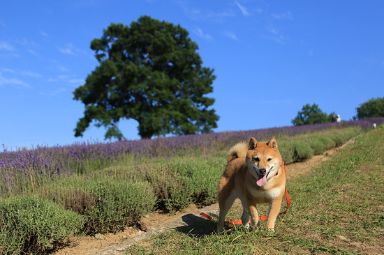 12resize0464.jpg