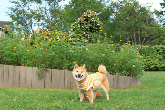 12resize0480.jpg