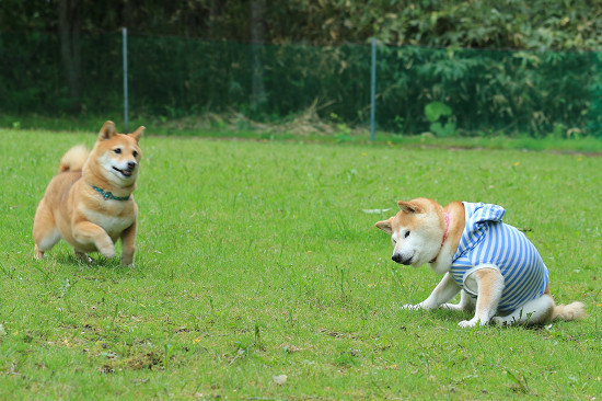 13resize0453.jpg