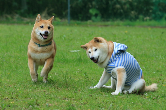 14resize0452.jpg