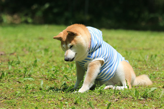15resize0446.jpg
