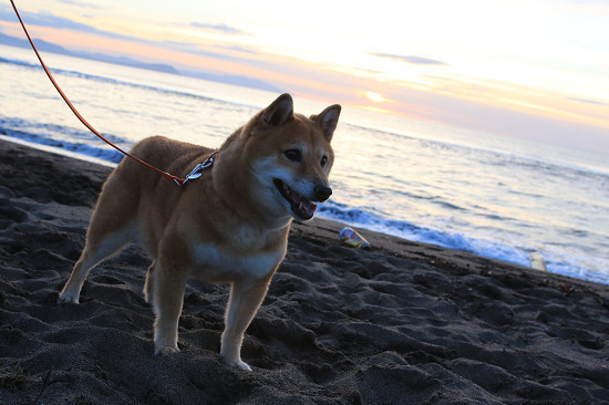 15resize0543.jpg