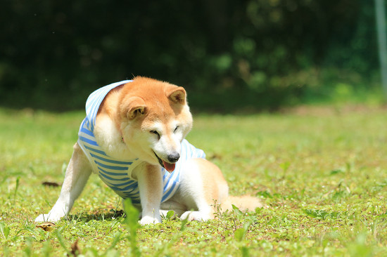 16resize0448.jpg