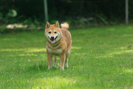 17resize0447.jpg