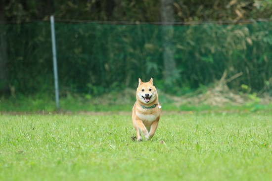 1resize0450.jpg