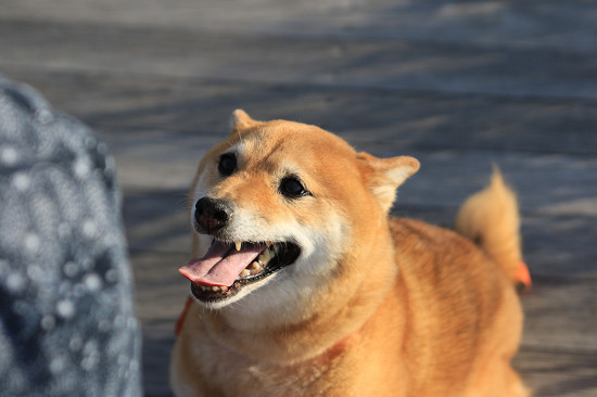 1resize0518.jpg