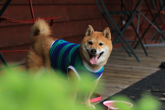 21resize0516.jpg