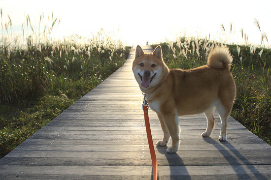 5resize0521.jpg