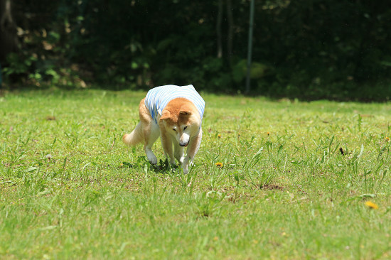 7resize0444.jpg