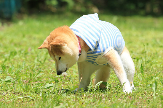 8resize0445.jpg