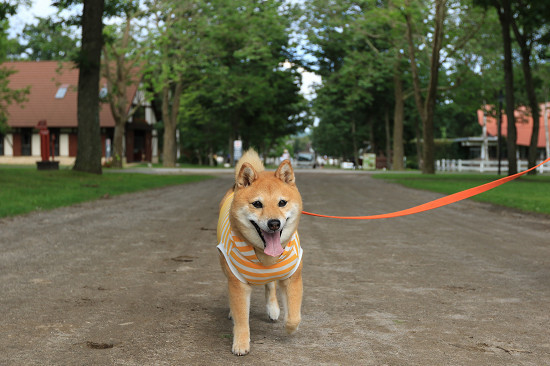 9resize0477.jpg
