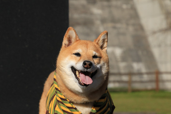 resize0648.jpg
