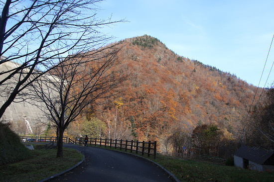 resize0652.jpg