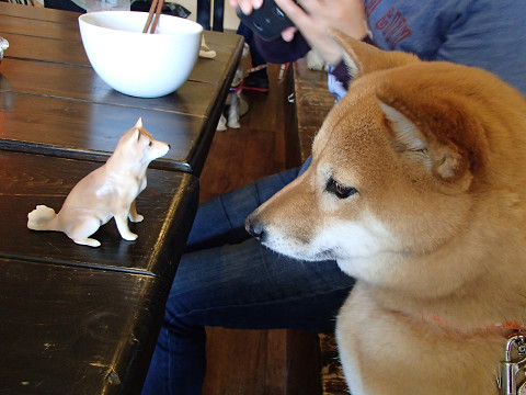 11resize2120.jpg