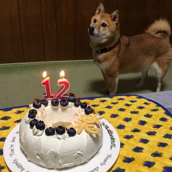 1511418672634.jpg