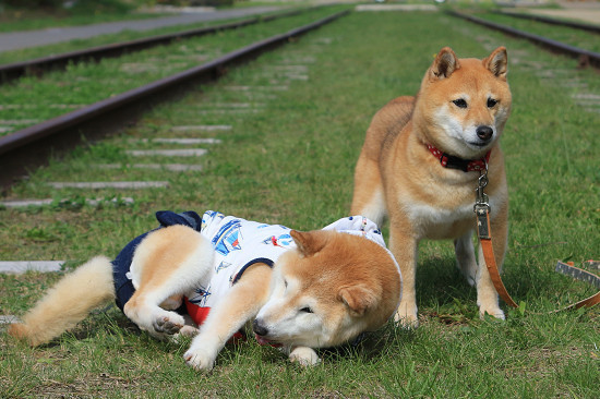 20resize0620.jpg