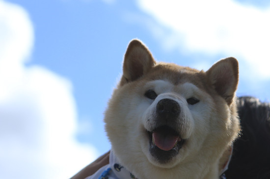 22resize0622.jpg