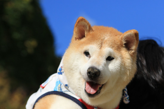 23resize0623.jpg