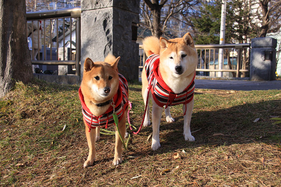 25resize1027.jpg
