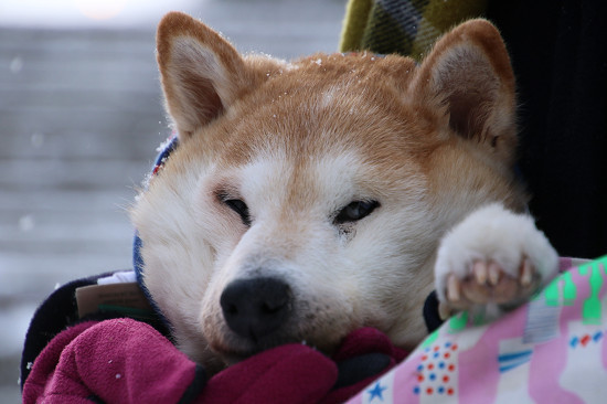 3resize0770.jpg