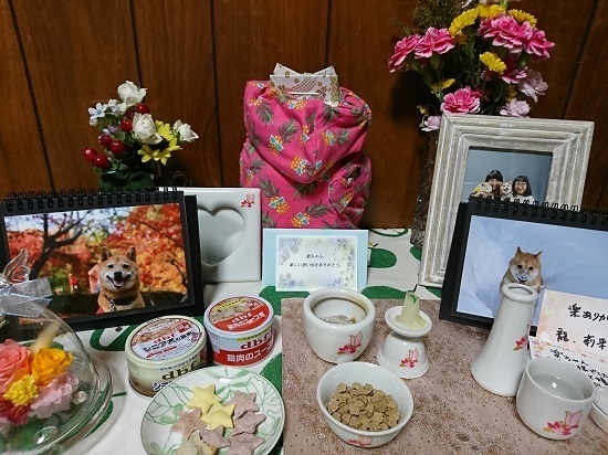 DSC_4750 (003).jpg