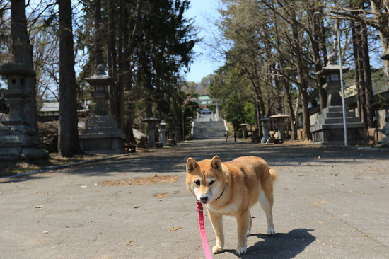 resize0753.jpg