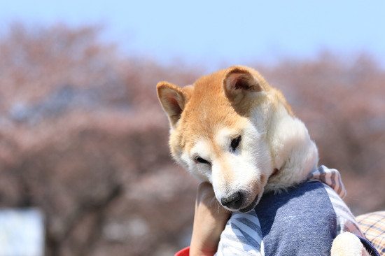 resize0758.jpg