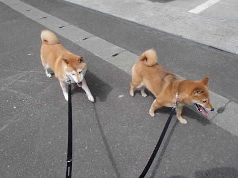 resize2100.jpg
