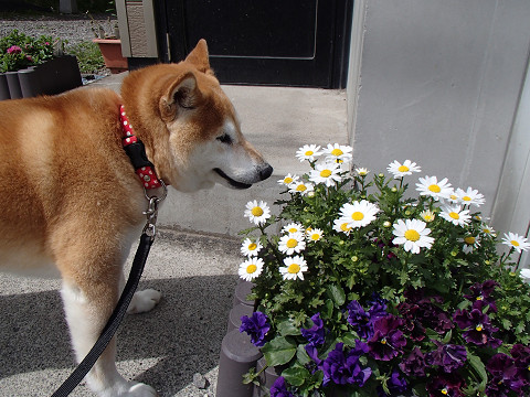 resize2101.jpg
