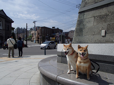 resize2103.jpg