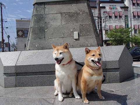resize2104.jpg